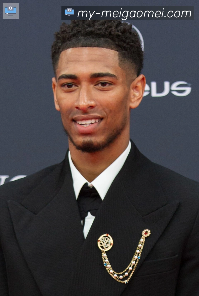 维尼修斯